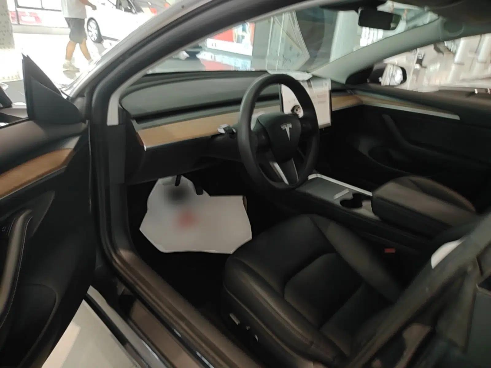 Tesla Model 3 2020 Revised Version Standard Range Rear-Wheel Drive – Upgraded Edition — миниатюра 17