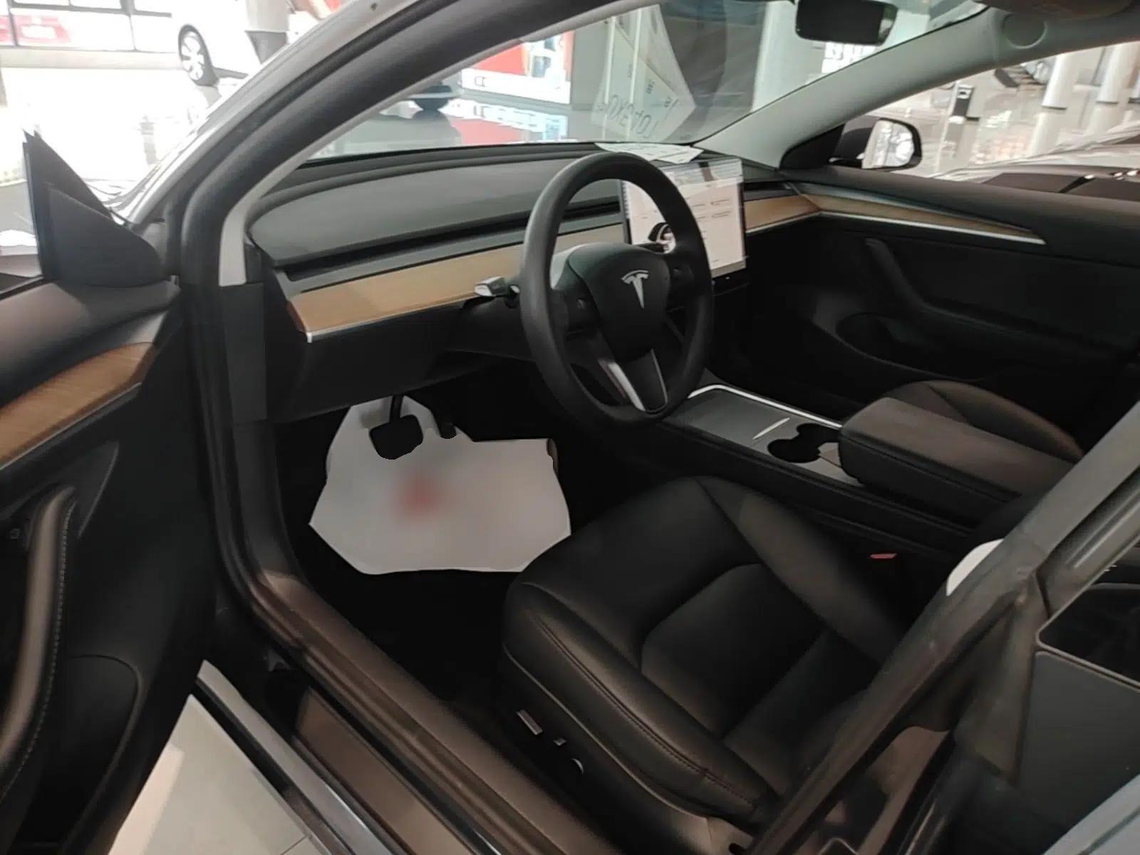 Tesla Model 3 2020 Revised Version Standard Range Rear-Wheel Drive – Upgraded Edition — миниатюра 18