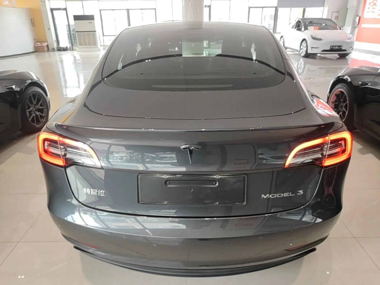 Tesla Model 3 2020 Revised Version Standard Range Rear-Wheel Drive – Upgraded Edition — миниатюра 5