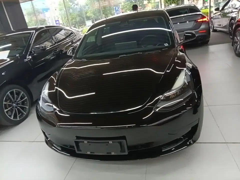 Tesla Model 3 2021 Standard Range Rear-Drive Upgraded Version — миниатюра 2