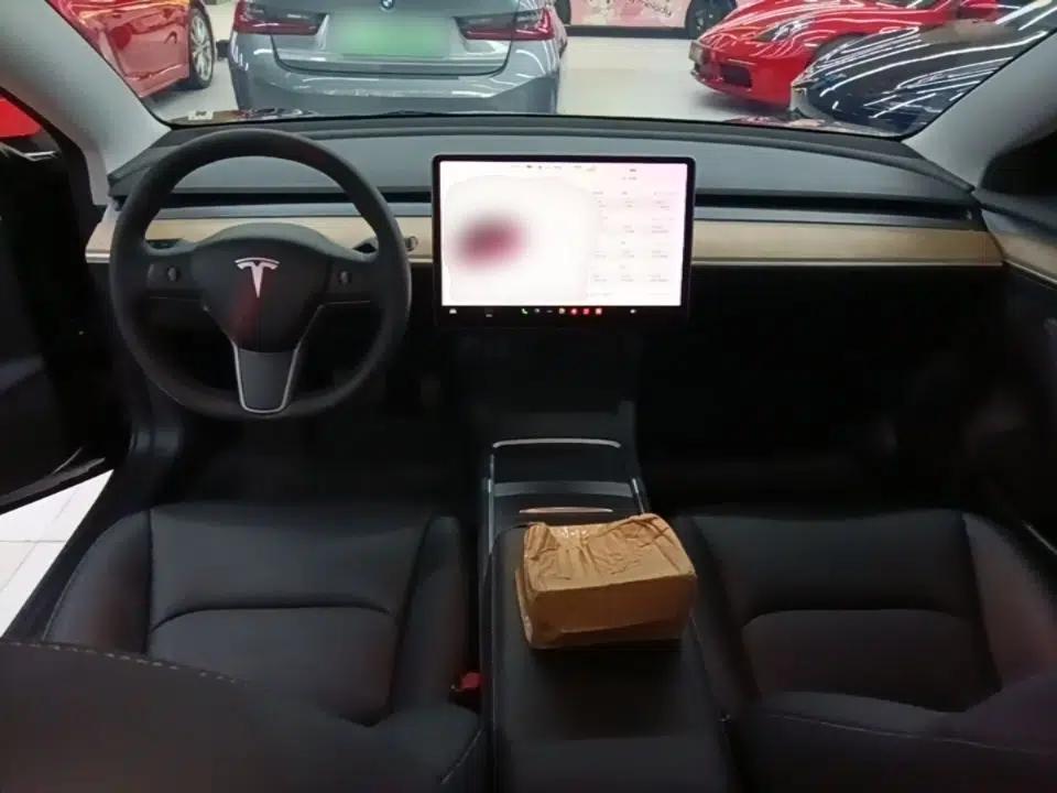 Tesla Model 3 2021 Standard Range Rear-Drive Upgraded Version — миниатюра 12