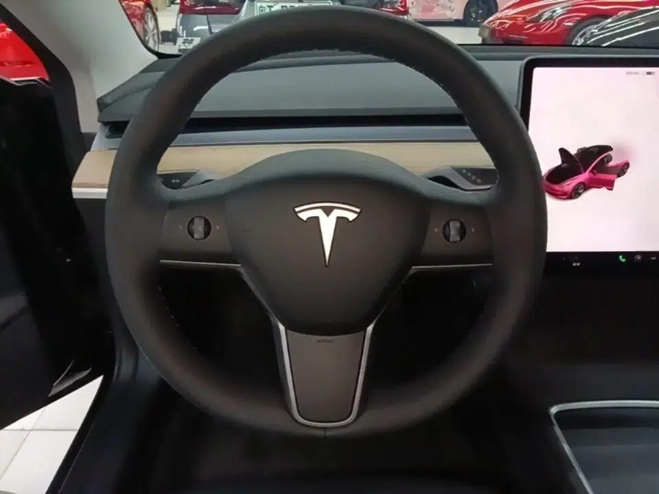 Tesla Model 3 2021 Standard Range Rear-Drive Upgraded Version — миниатюра 13