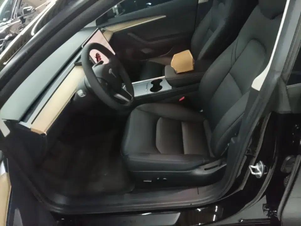 Tesla Model 3 2021 Standard Range Rear-Drive Upgraded Version — миниатюра 17