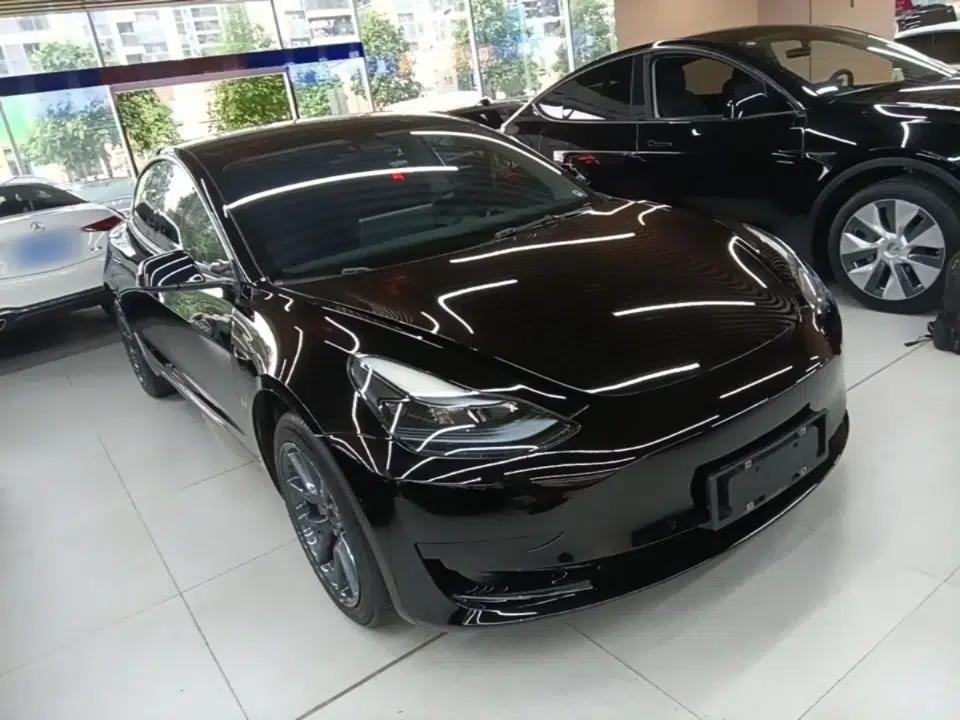 Tesla Model 3 2021 Standard Range Rear-Drive Upgraded Version — миниатюра 3