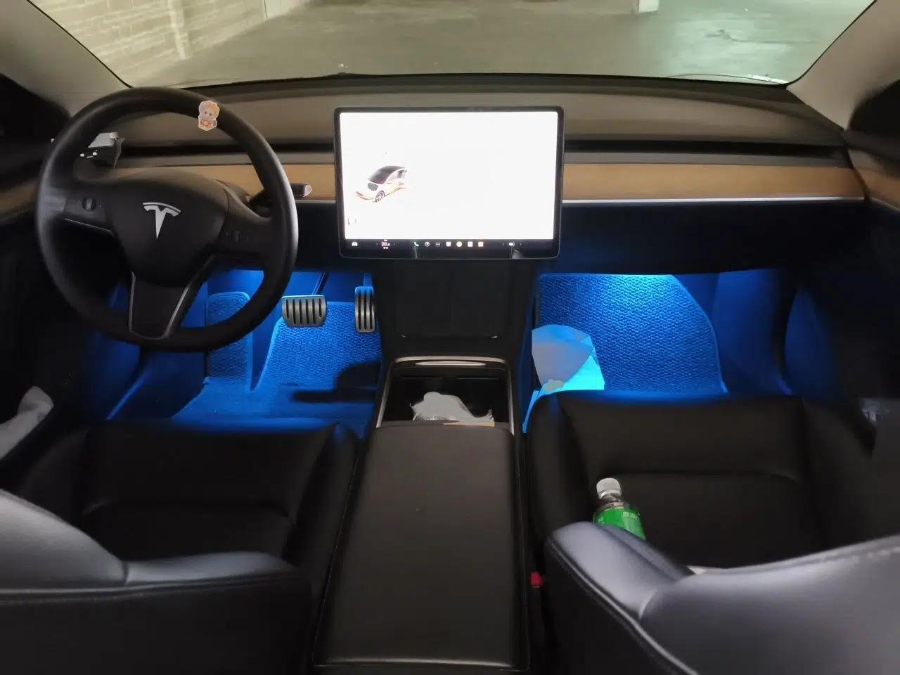 Tesla Model 3 2021 Performance High-Performance All-Wheel-Drive Version 3D6 — миниатюра 18