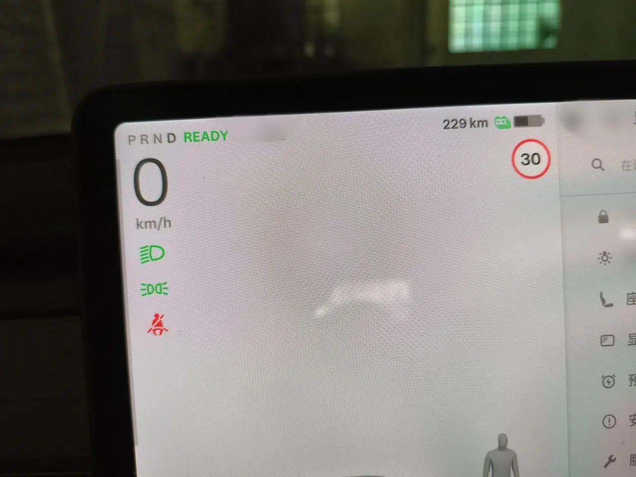 Tesla Model 3 2021 Performance High-Performance All-Wheel-Drive Version 3D6 — миниатюра 10