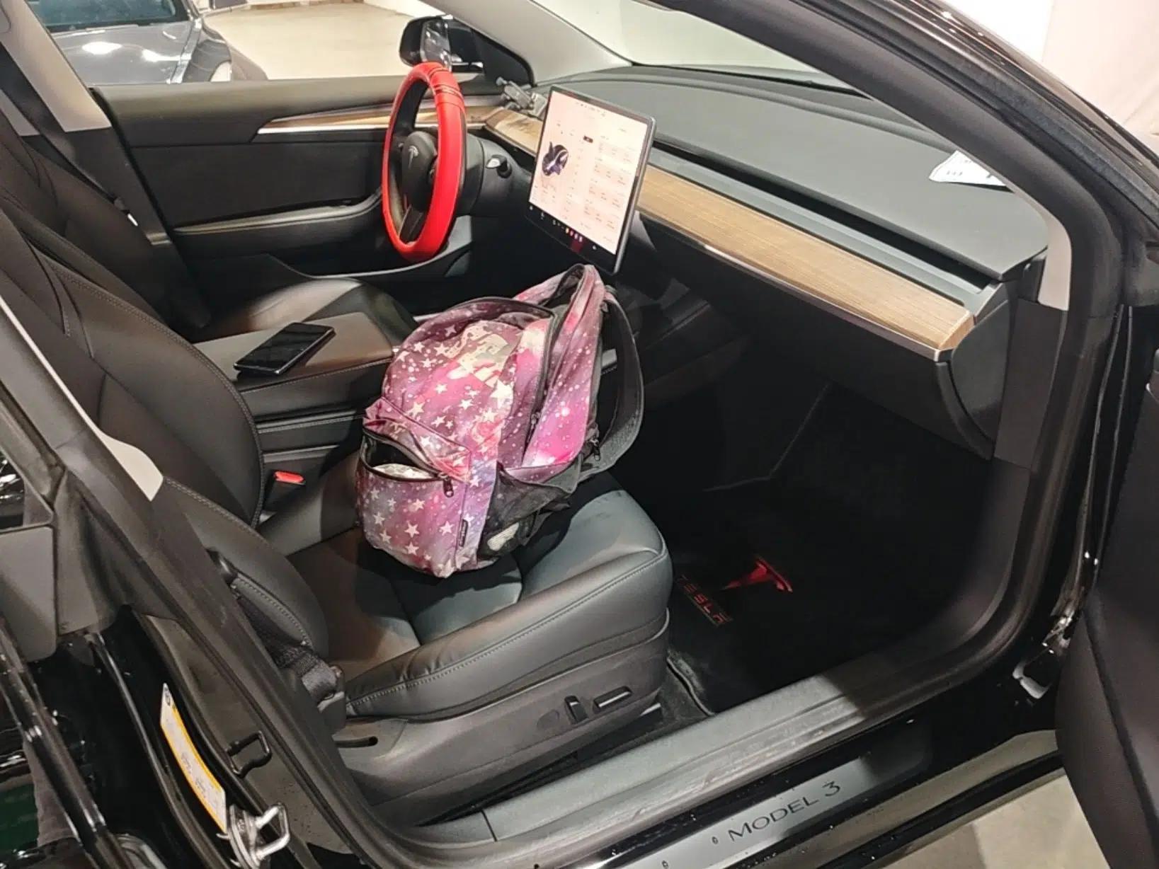 Tesla Model 3 2022 Rear-Wheel-Drive Version — миниатюра 19