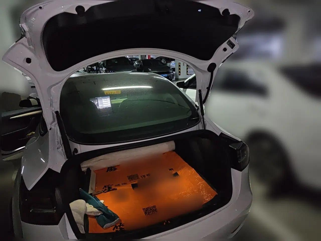 Tesla Model 3 2021 Standard Range Rear-Wheel Drive Upgraded Version 3D6 — миниатюра 19