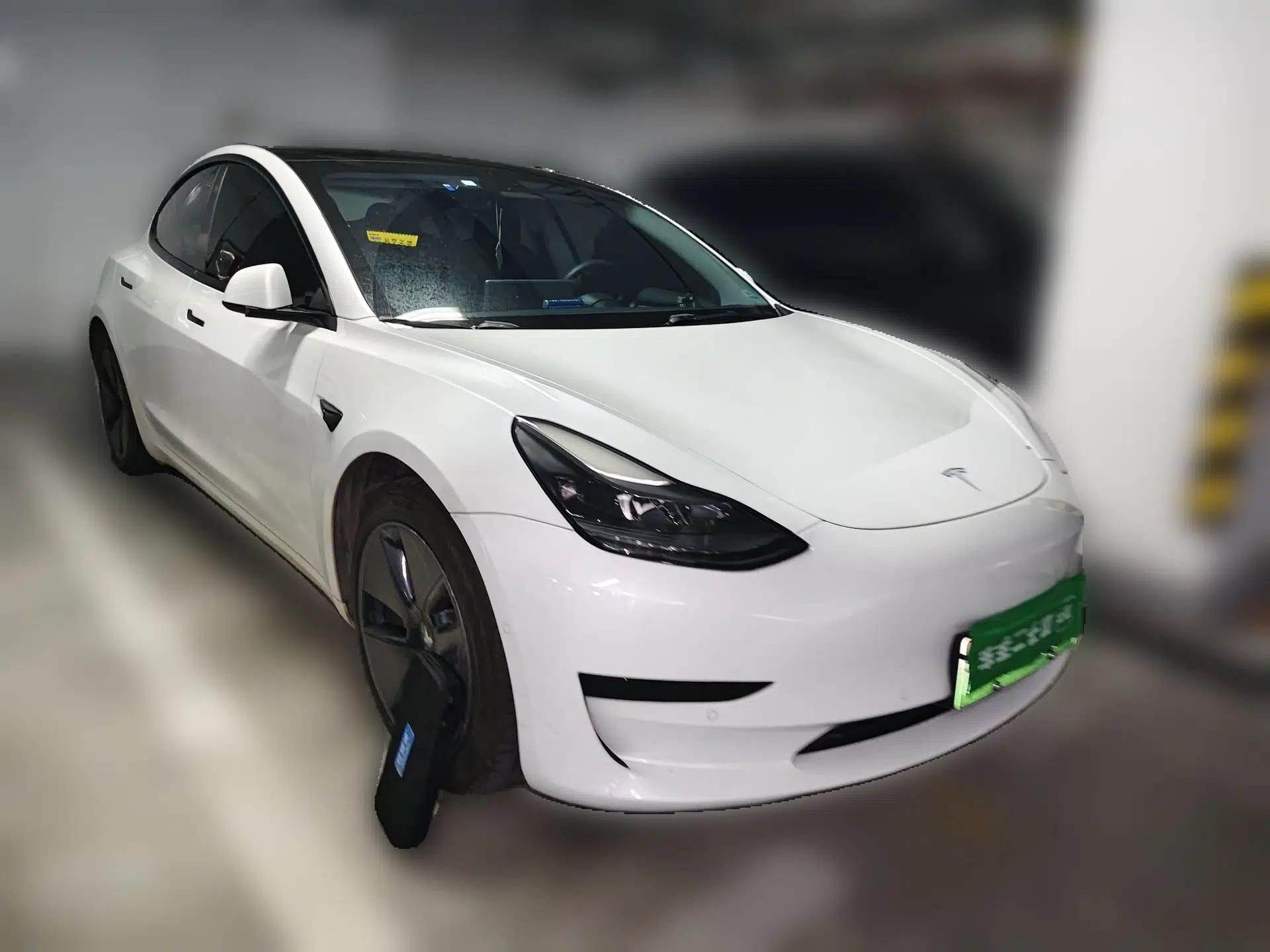 Tesla Model 3 2021 Standard Range Rear-Wheel Drive Upgraded Version 3D6 — миниатюра 3