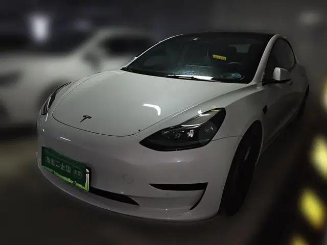 Tesla Model 3 2021 Standard Range Rear-Wheel Drive Upgraded Version 3D6