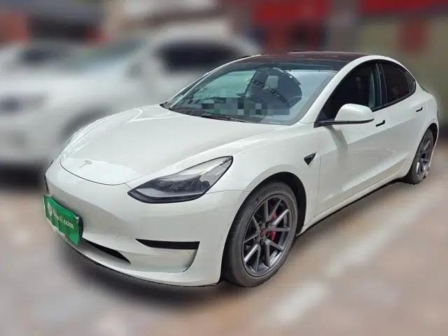 Tesla Model 3 2021 Standard Range Rear-Wheel Drive Upgraded Version 3D6