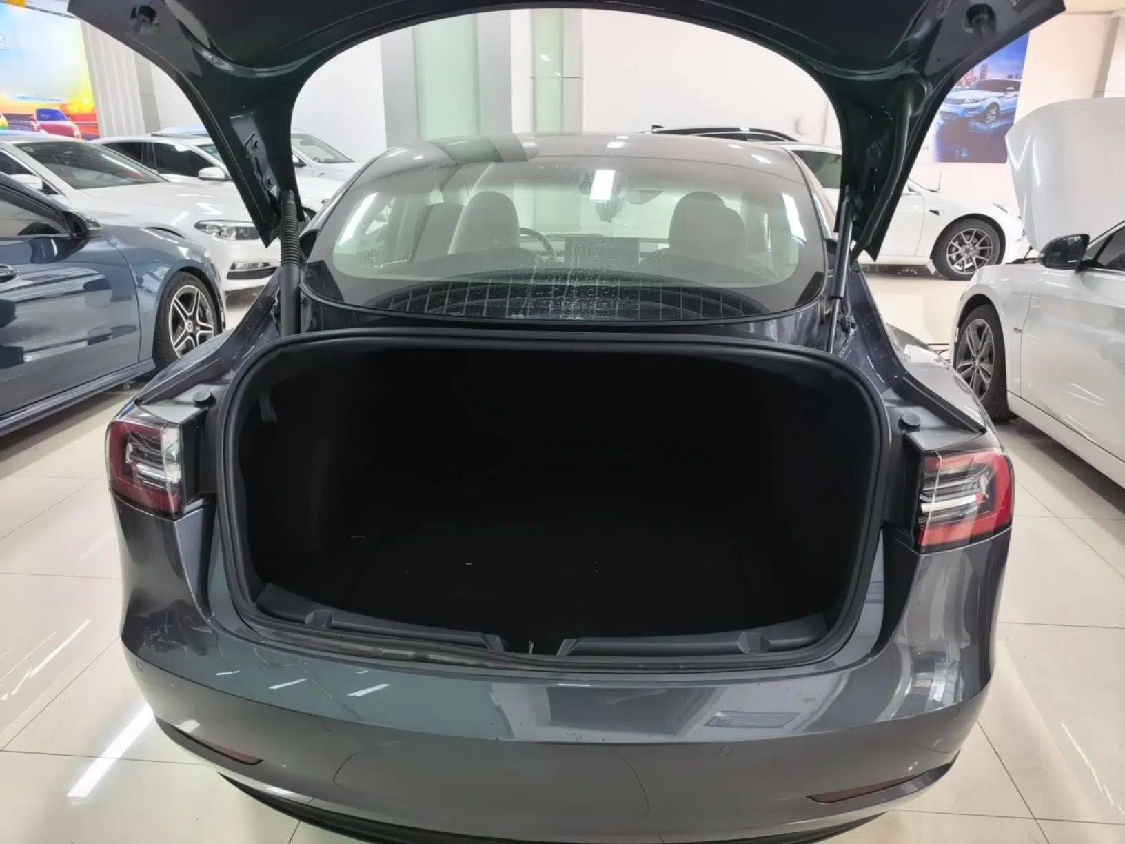 Tesla Model 3 2021 Performance High-Performance All-Wheel-Drive Version — миниатюра 22