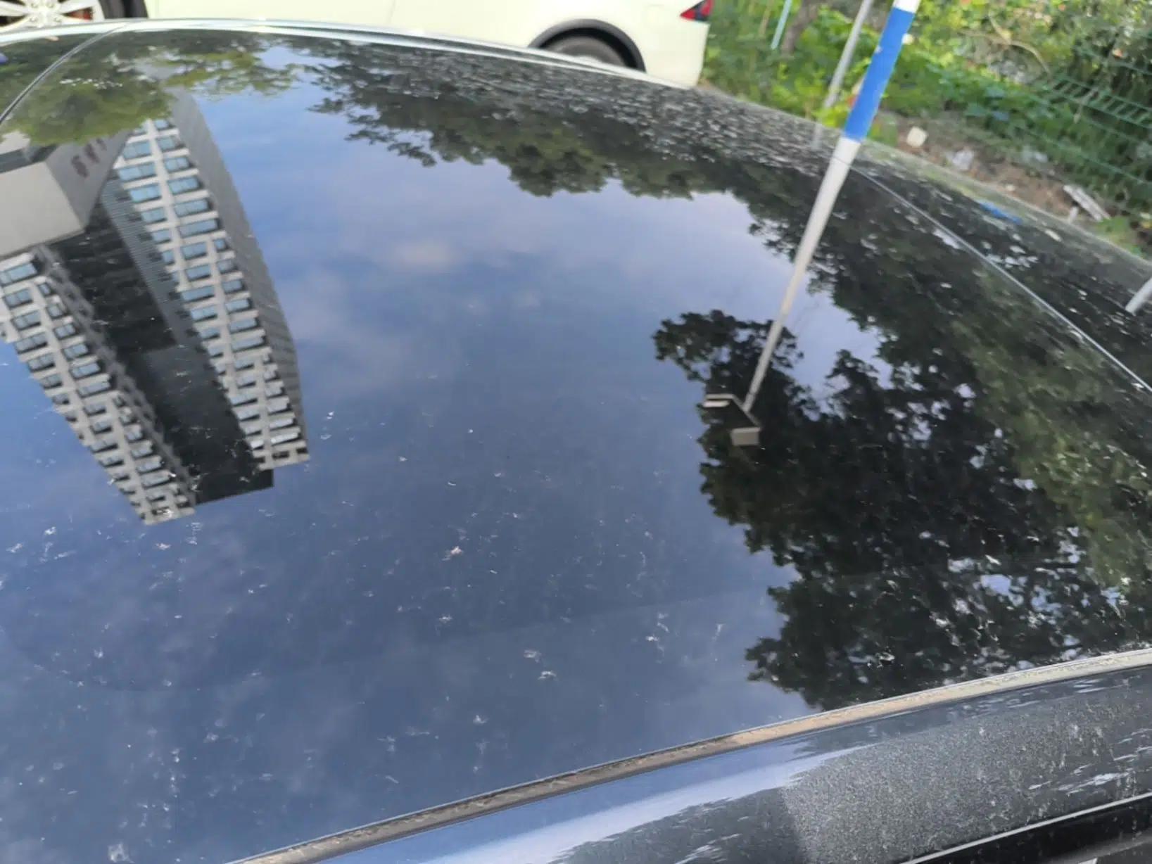 Tesla Model 3 2023 Rear-Wheel-Drive Version — миниатюра 7