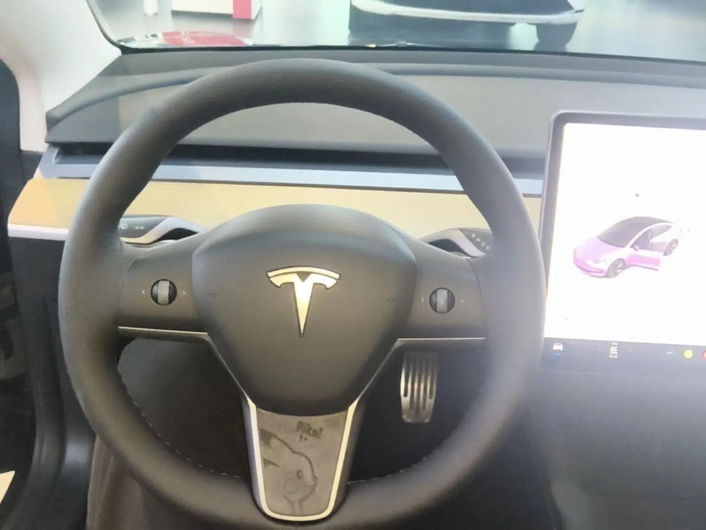 Tesla Model 3 2022 Rear-Wheel-Drive Version — миниатюра 13