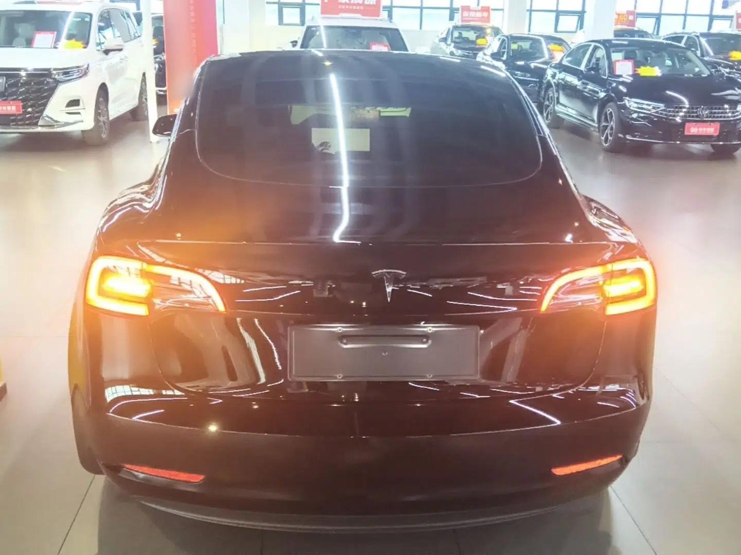 Tesla Model 3 2022 Rear-Wheel-Drive Version — миниатюра 5