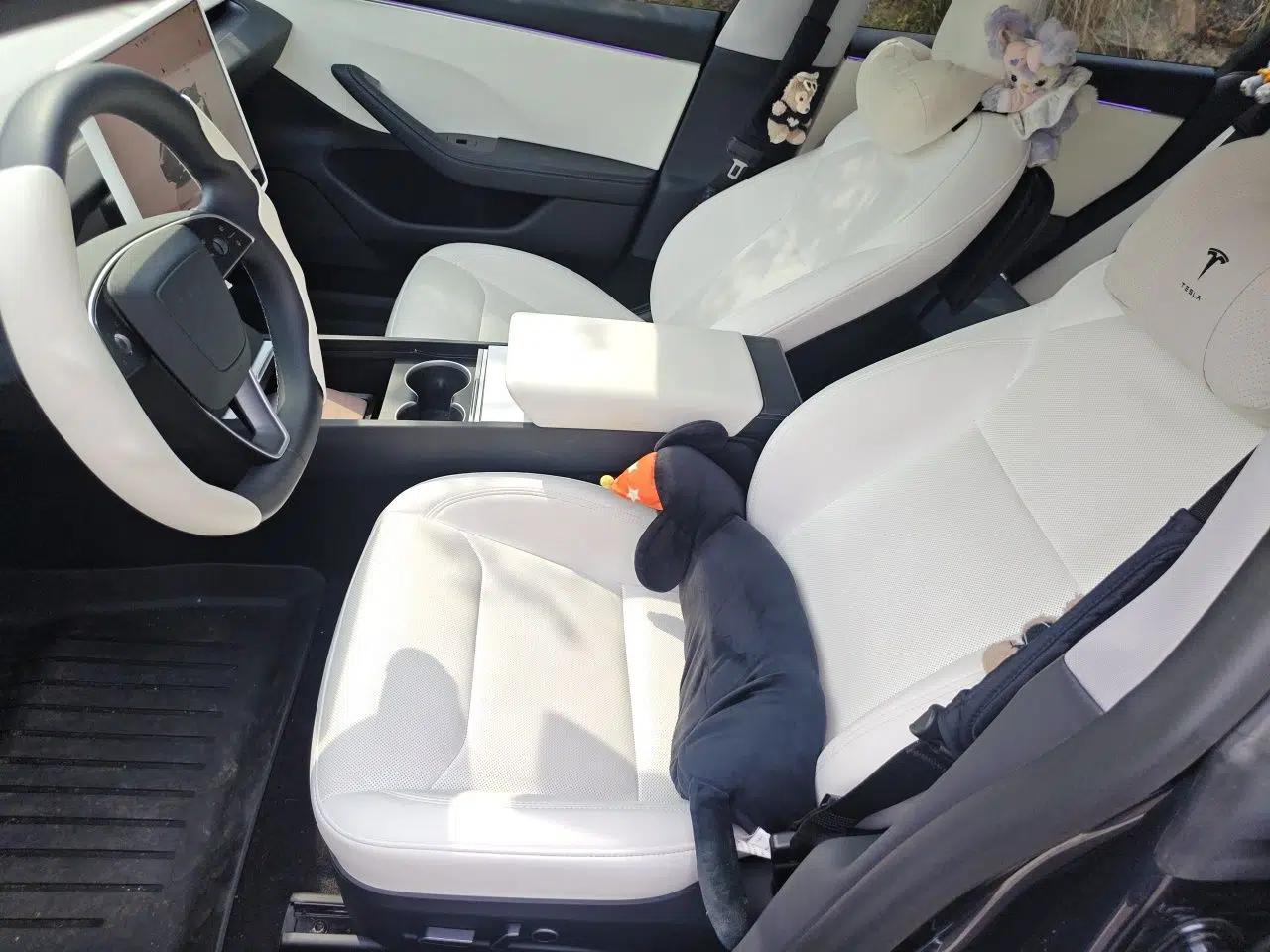 Tesla Model 3 2023 Rear-Wheel-Drive Version — миниатюра 15