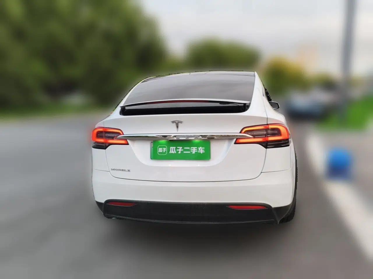 Tesla Model X 2017 X 100D Long Range Edition — миниатюра 5