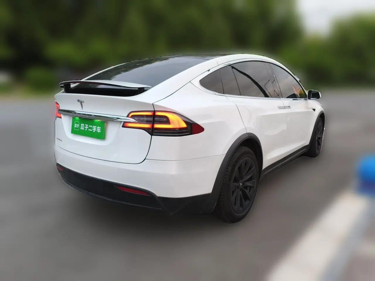 Tesla Model X 2017 X 100D Long Range Edition — миниатюра 6