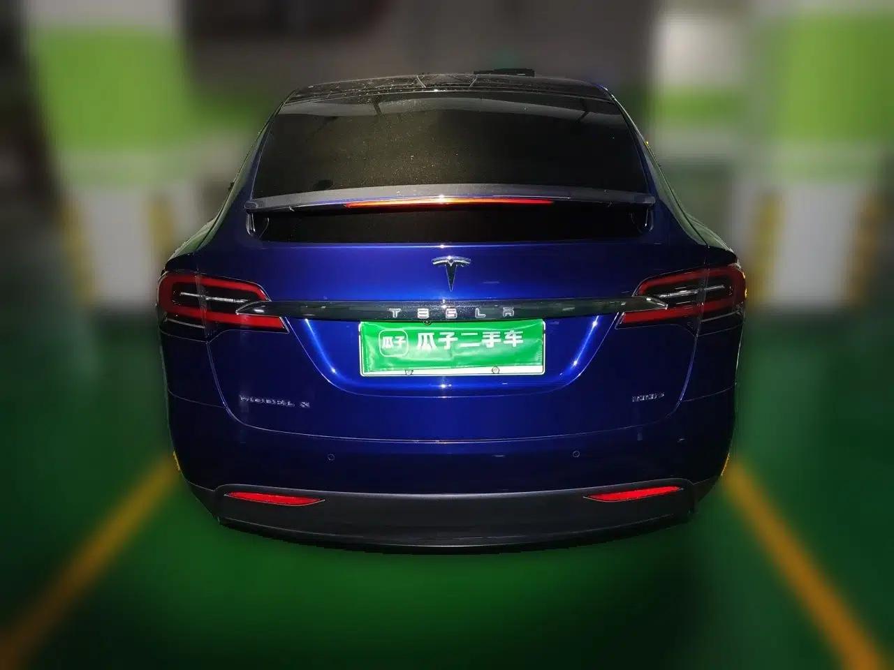 Tesla Model X 2017 X 100D Long Range Edition — миниатюра 5