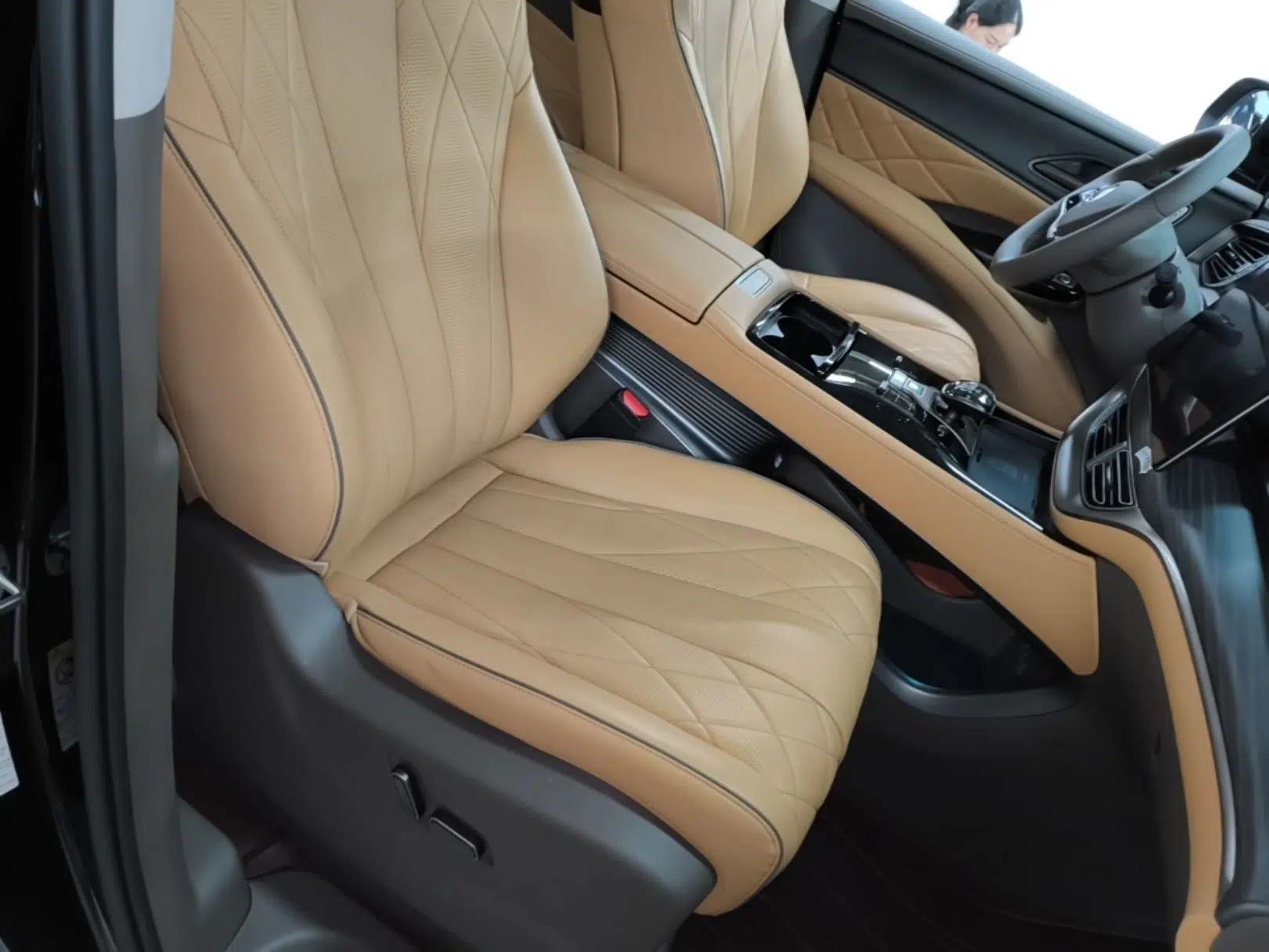 Denza D9 2022 DM-i 970 Four-Wheel Drive Prestige Model — миниатюра 19