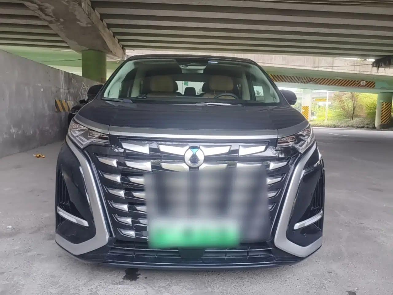 Denza D9 2024 DM-i 980 Four-Wheel Drive Flagship Model — миниатюра 2