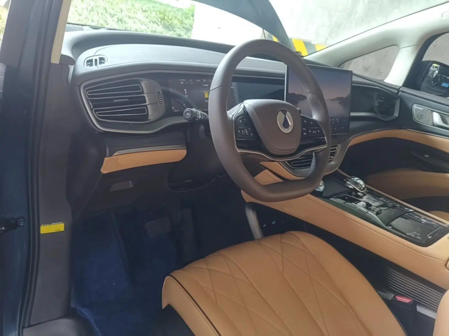 Denza D9 2024 DM-i 980 Four-Wheel Drive Flagship Model — миниатюра 19