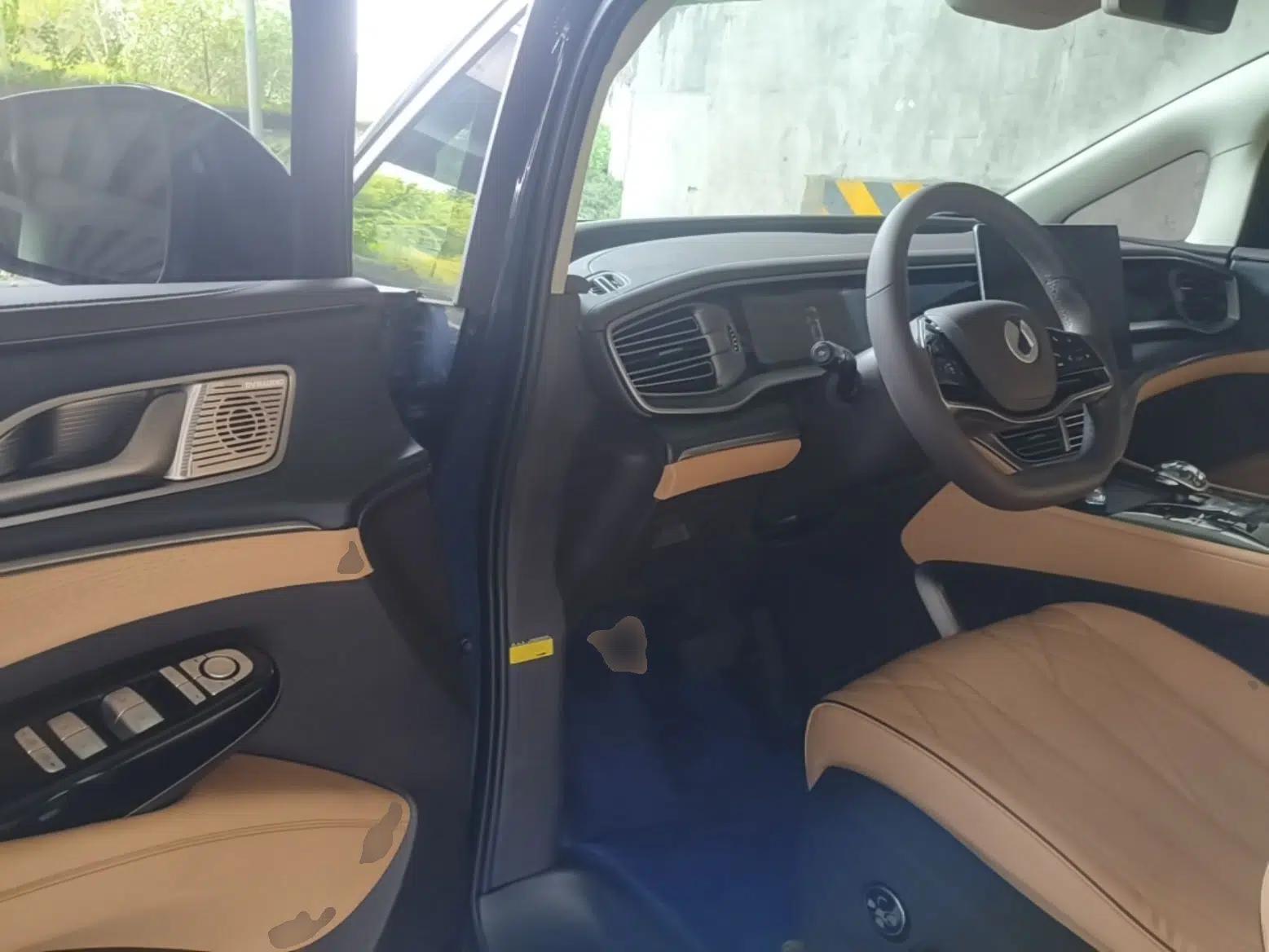 Denza D9 2024 DM-i 980 Four-Wheel Drive Flagship Model — миниатюра 25