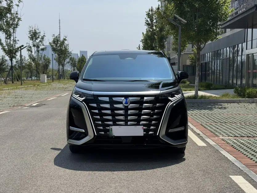 Denza D9 2022 DM-i 970 Four-Wheel Drive Flagship Model — миниатюра 3