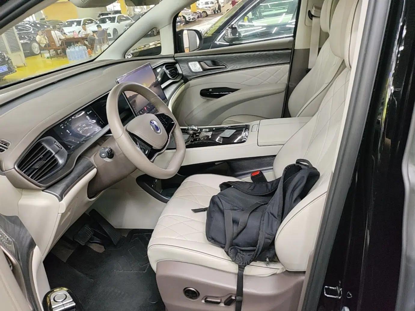Denza D9 2022 DM-i 1040 Prestige Model — миниатюра 17