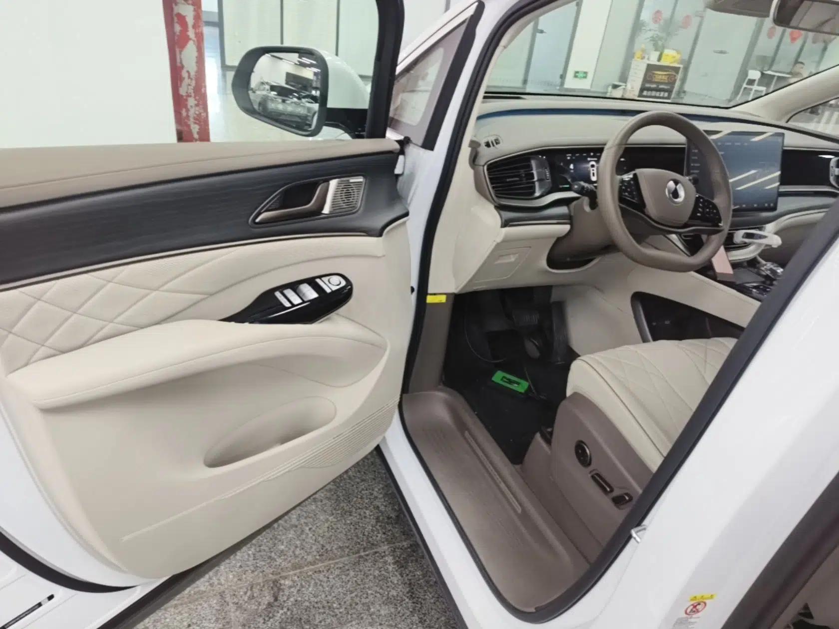 Denza D9 2022 DM-i 970 Four-Wheel Drive Flagship Model — миниатюра 18
