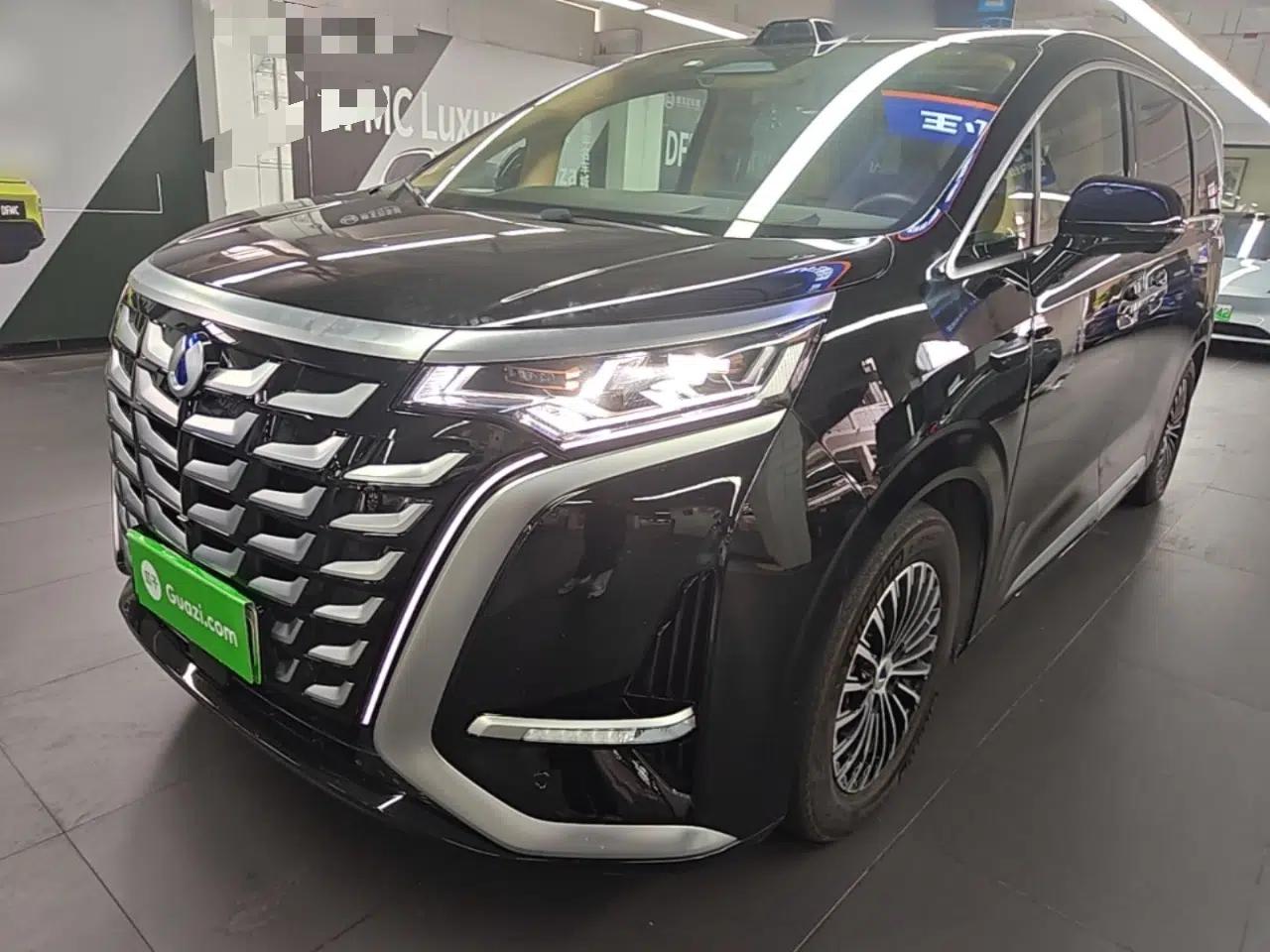 Denza D9 2025 DM-i Intelligent Drive 1020 Four-Wheel Drive Flagship Model — миниатюра 1