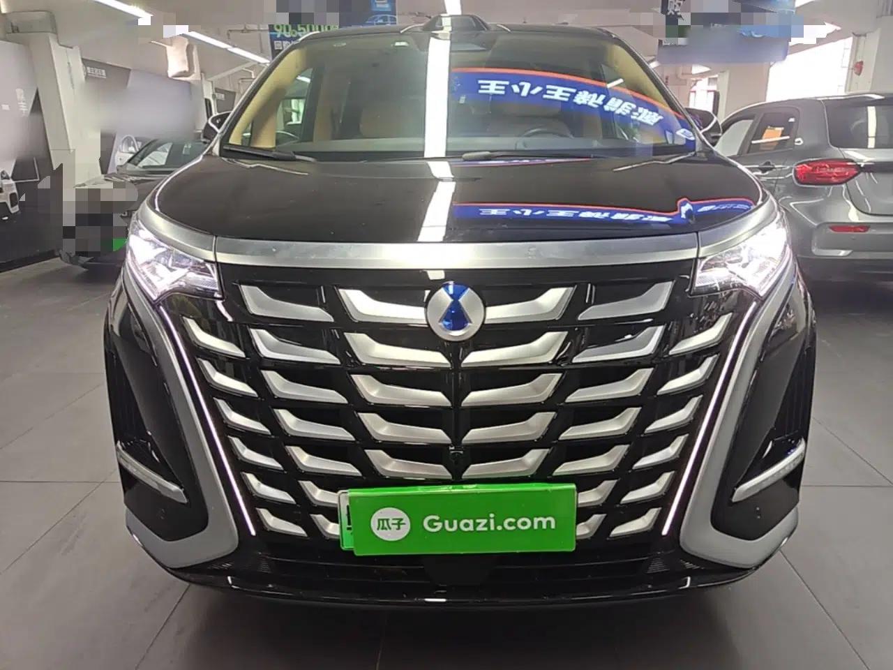 Denza D9 2025 DM-i Intelligent Drive 1020 Four-Wheel Drive Flagship Model — миниатюра 2