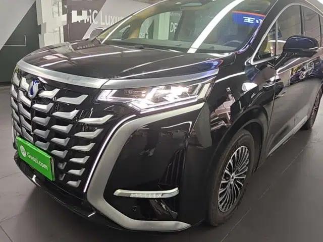 Denza D9 2025 DM-i Intelligent Drive 1020 Four-Wheel Drive Flagship Model
