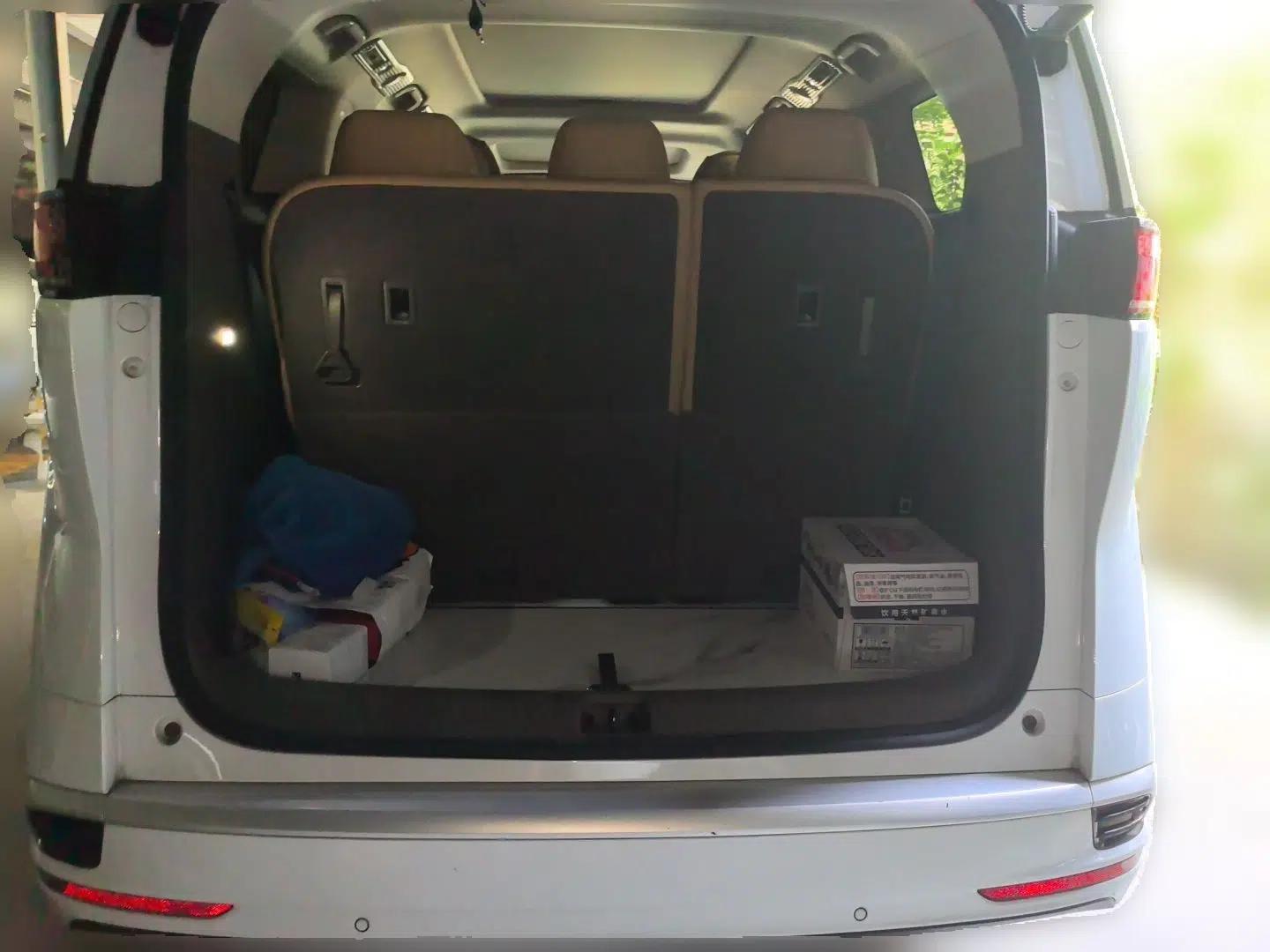 Denza D9 2022 DM-i 970 Four-Wheel Drive Prestige Model — миниатюра 19