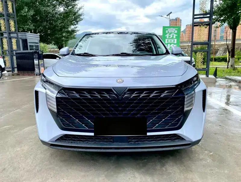 Venucia V2022 260T King Edition — миниатюра 2