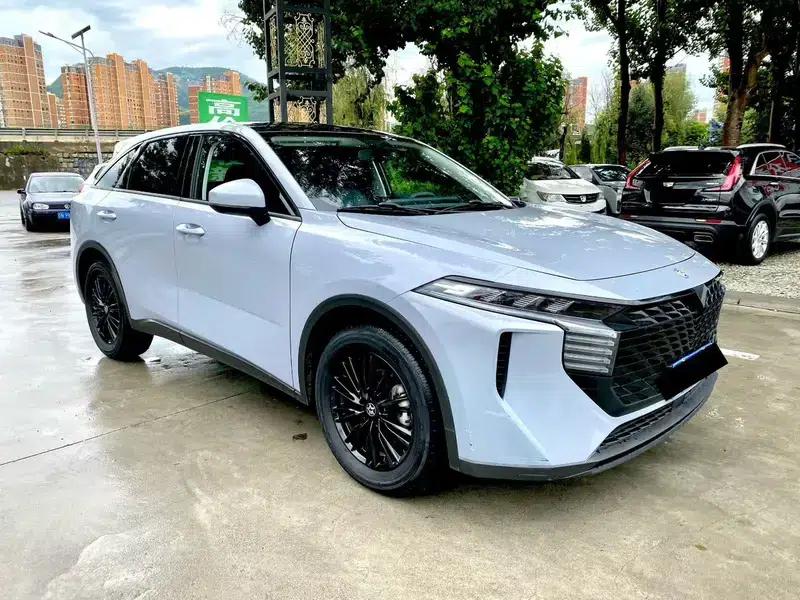 Venucia V2022 260T King Edition — миниатюра 3