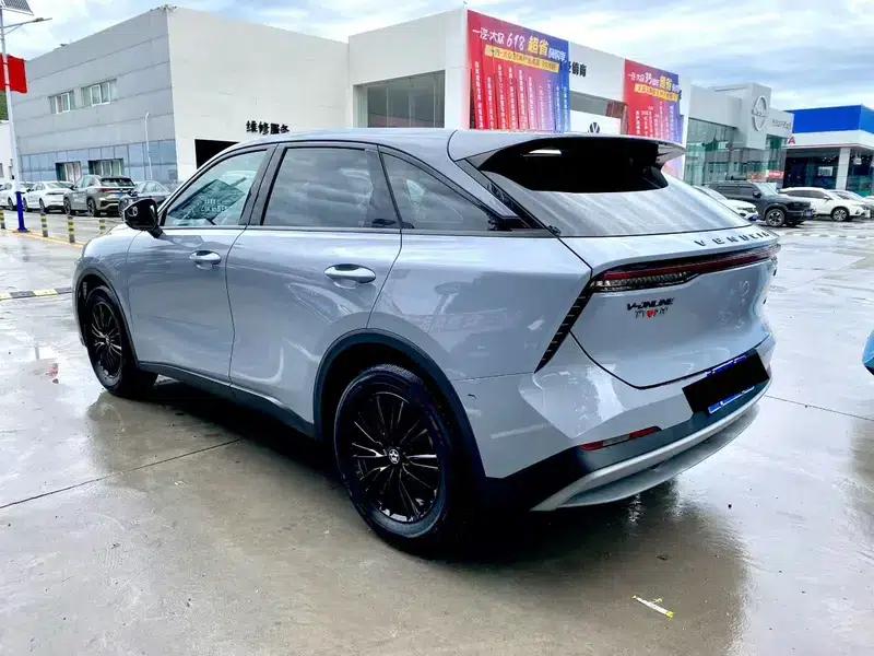 Venucia V2022 260T King Edition — миниатюра 4