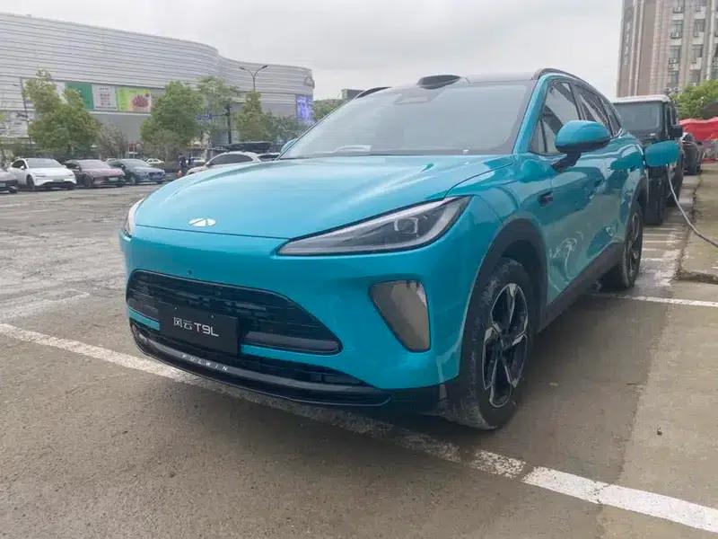 Fengyun T9L 2026 200 4WD Super Performance & Super Comfort — миниатюра 1