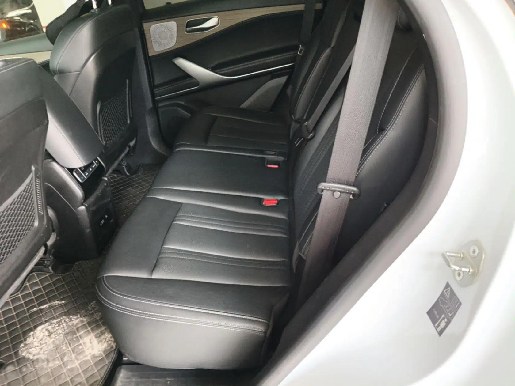 Denza X 2020 PHEV Classic Edition — миниатюра 20