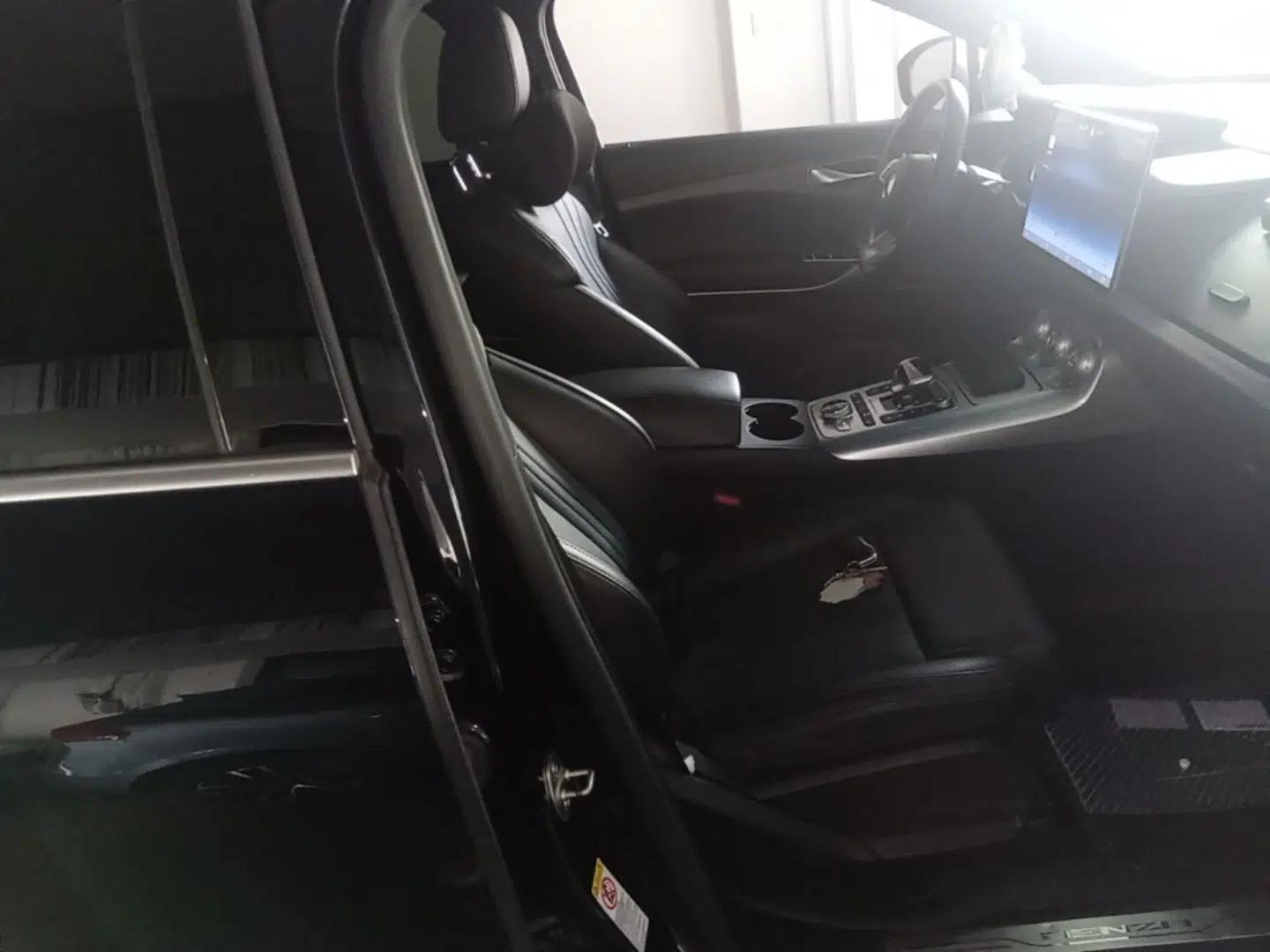 Denza X 2020 PHEV Classic Edition — миниатюра 28