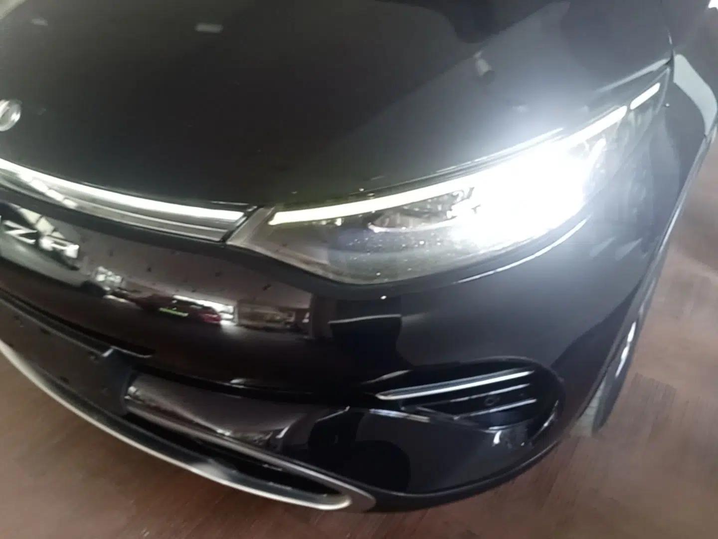 Denza X 2020 PHEV Classic Edition — миниатюра 8