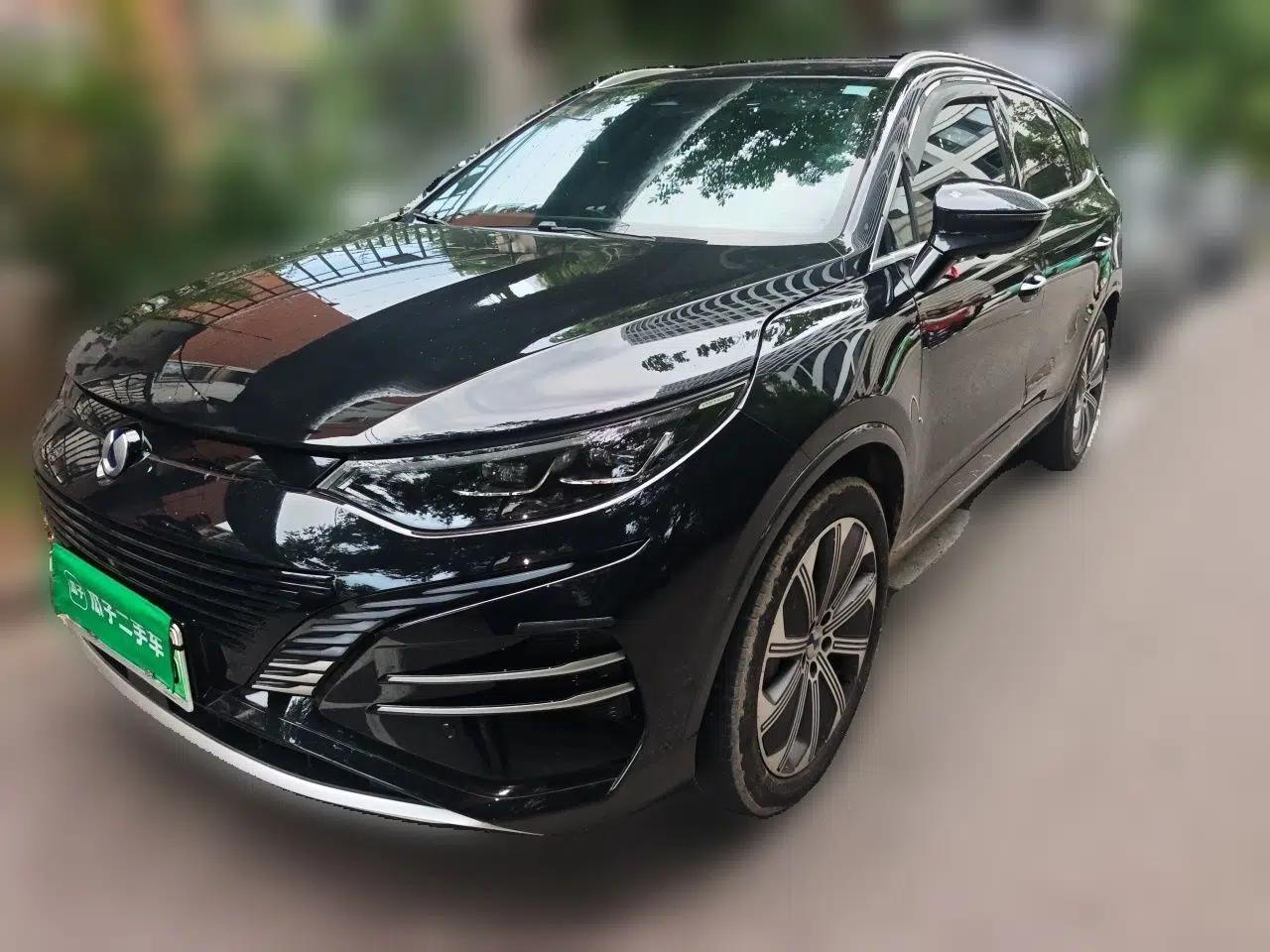 Denza N8 2023 Four-Wheel Drive Ultra-Hybrid Flagship Six-Seater Version — миниатюра 1