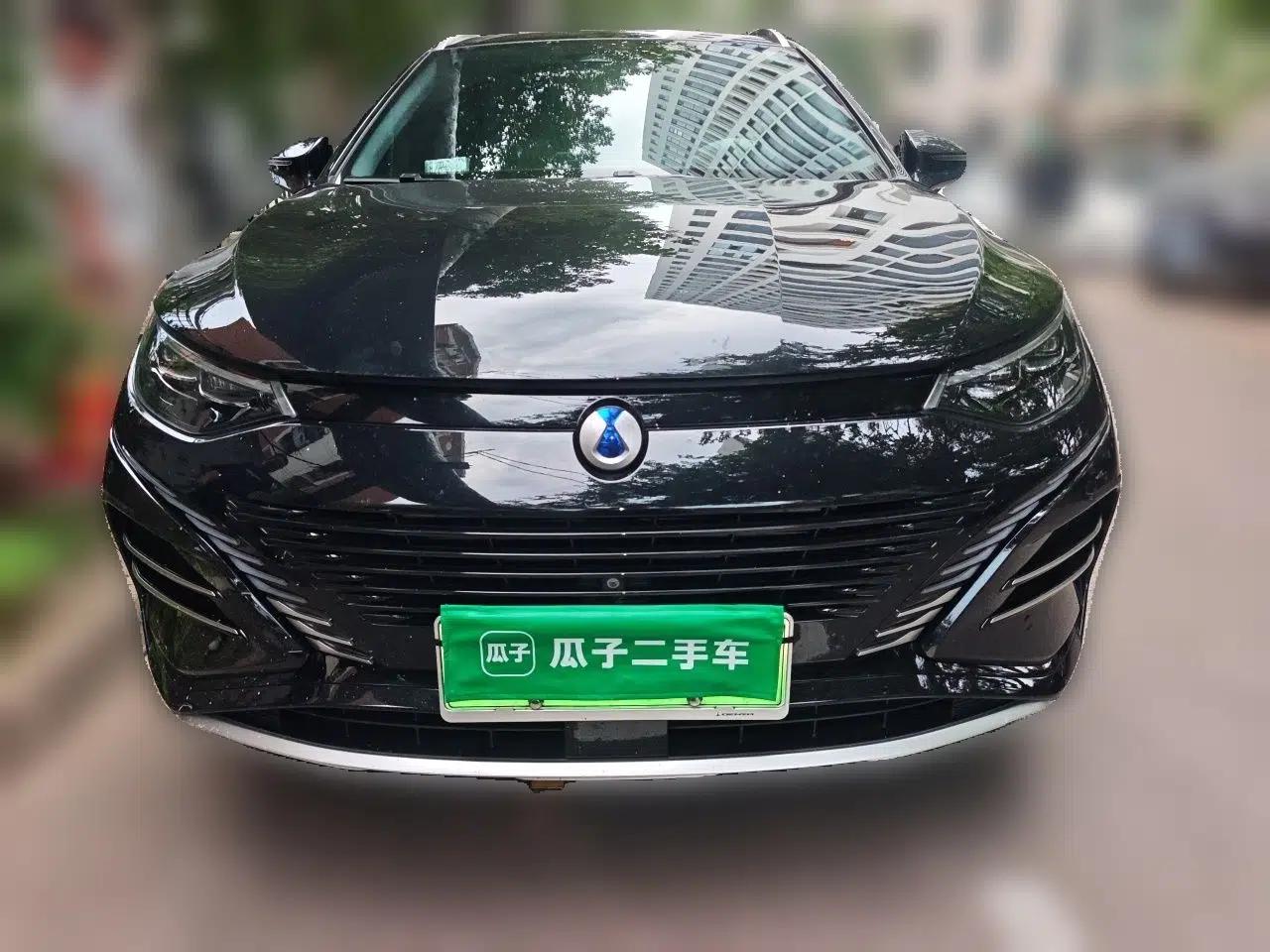 Denza N8 2023 Four-Wheel Drive Ultra-Hybrid Flagship Six-Seater Version — миниатюра 2