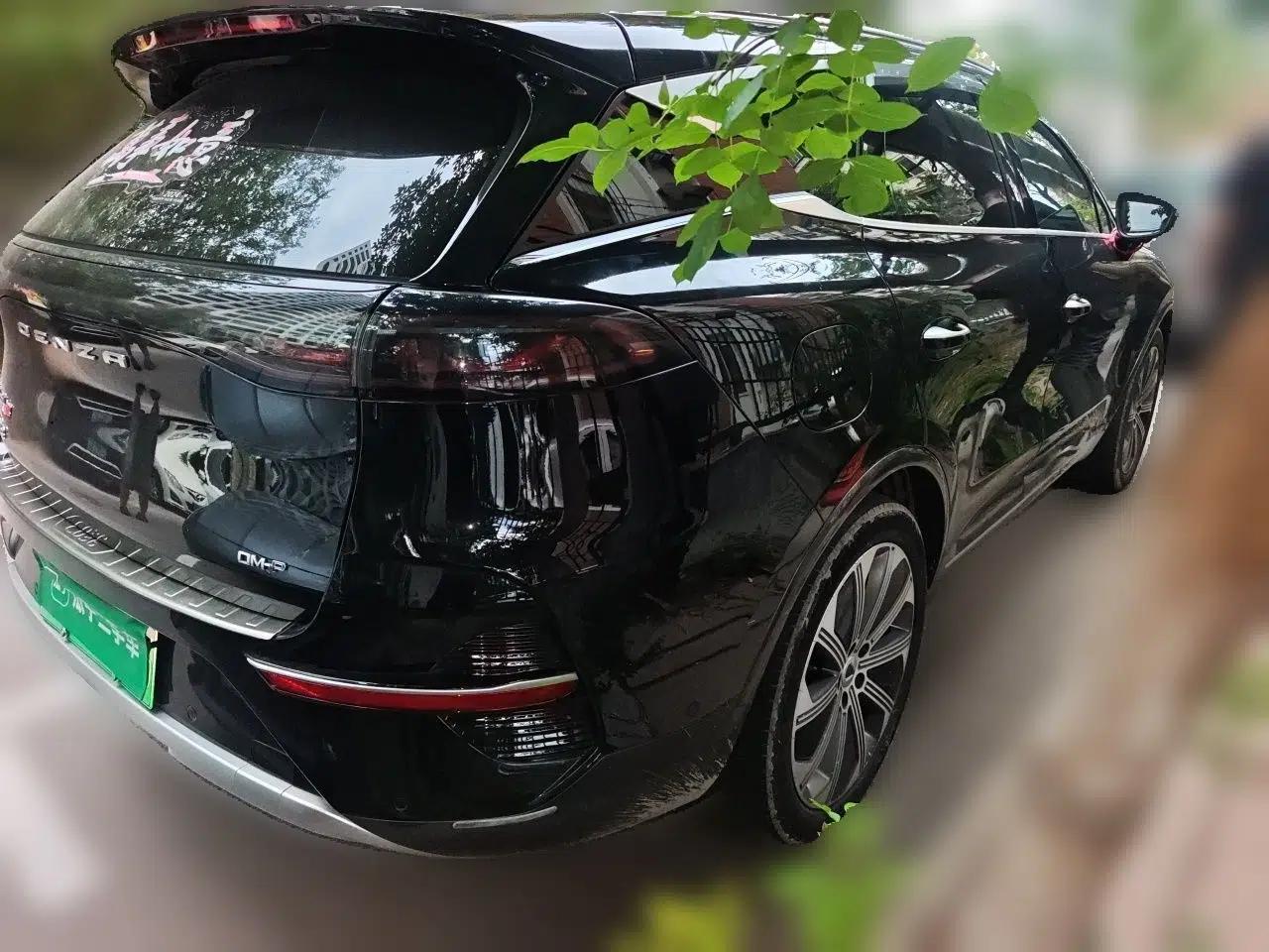 Denza N8 2023 Four-Wheel Drive Ultra-Hybrid Flagship Six-Seater Version — миниатюра 6