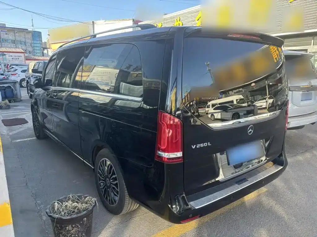 Mercedes-Benz V-Class 2018 V 260 L Premium Extended Edition (China VI Emission Standard) — миниатюра 8