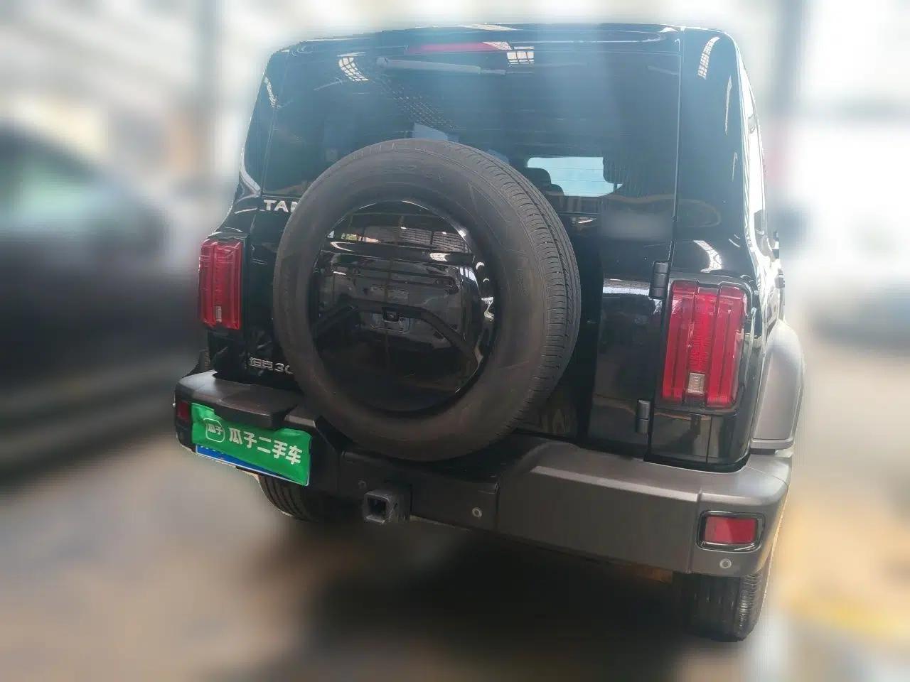 Tank 300 2023 Off-Road Edition 2.0T Conqueror — миниатюра 5