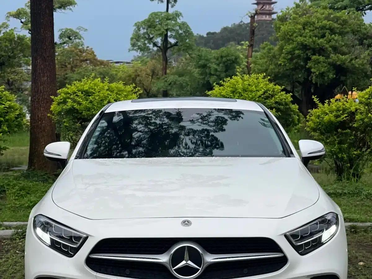 2018 Mercedes-Benz CLS 300 Dynamic — миниатюра 2