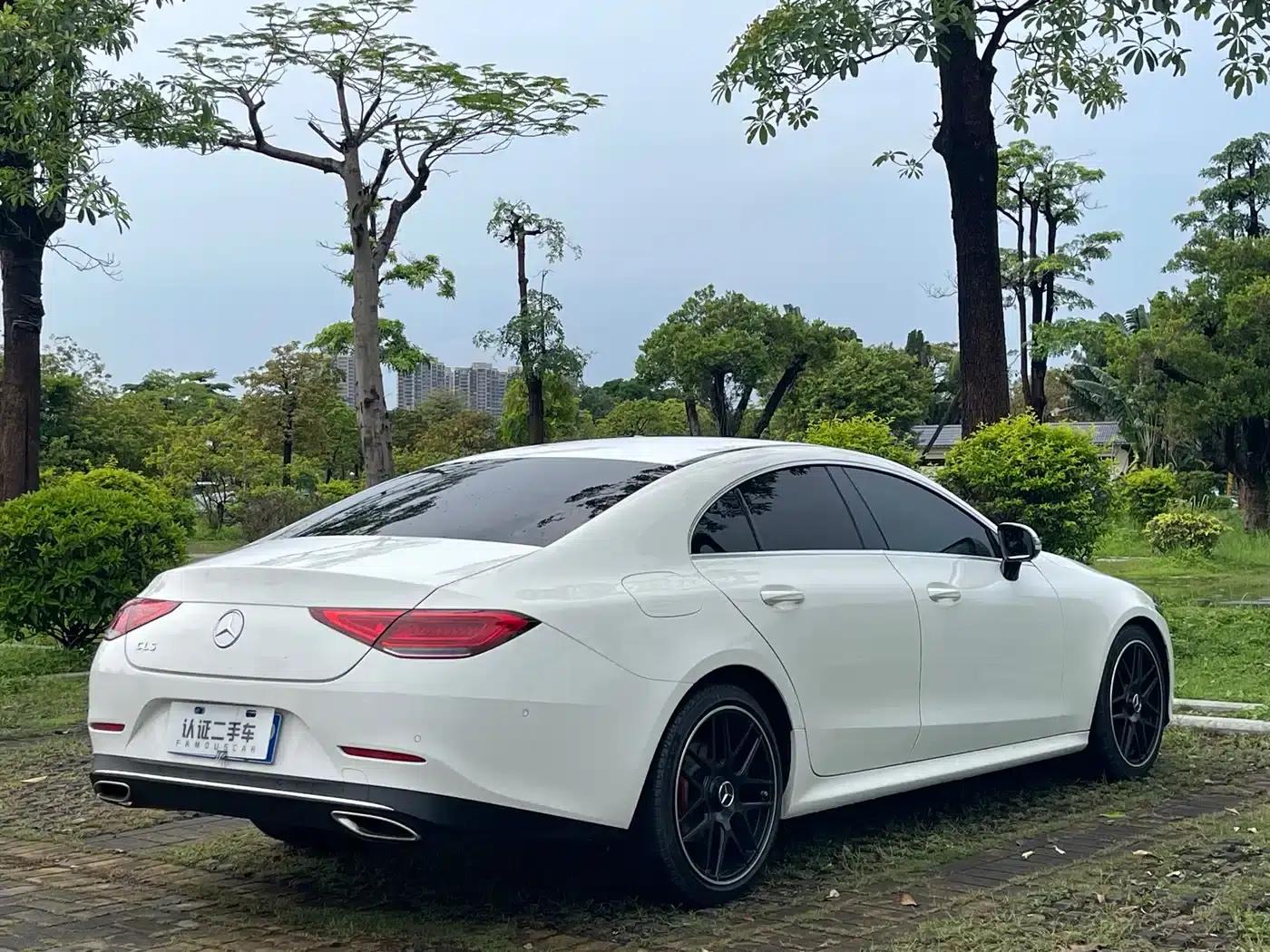 2018 Mercedes-Benz CLS 300 Dynamic — миниатюра 19