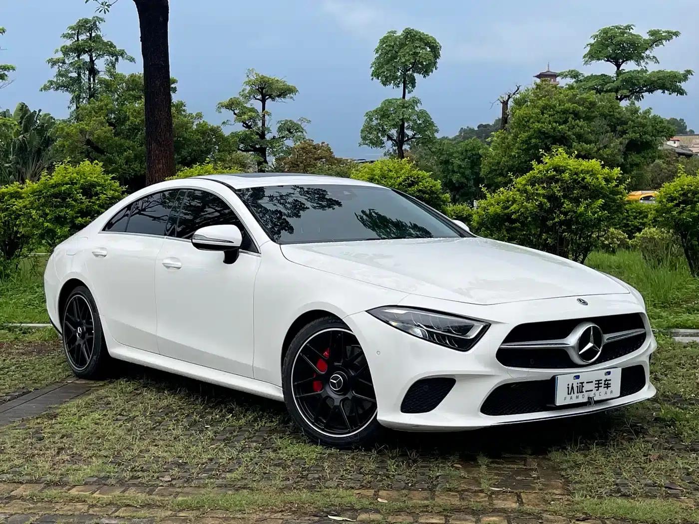 2018 Mercedes-Benz CLS 300 Dynamic — миниатюра 3