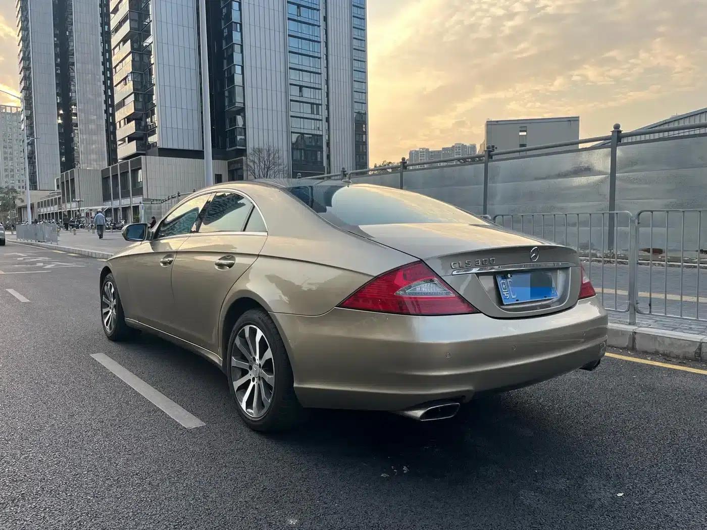 Mercedes-Benz CLS 2009 CLS 300 — миниатюра 4